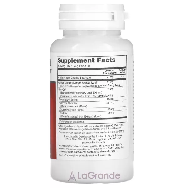 Protocol for Life Balance Brain Regain ������� ������� ��� ���������� ����� � �������������� ��������
