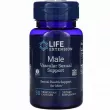 Life Extension Male Vascular Sexual Support ĳ       