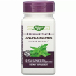 Nature's Way Andrographis 60pcs