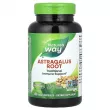 Nature's Way Astragalus Root   