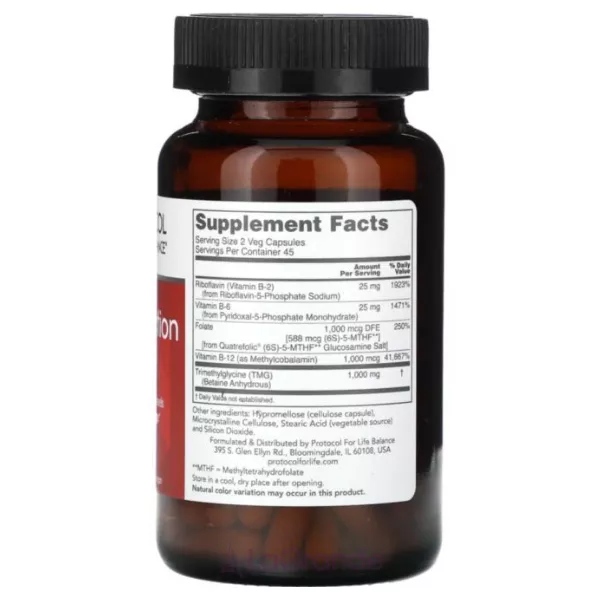 Protocol for Life Balance Methyl-Action ������� ������� ��� �������� ����������� 