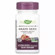 Nature's Way Grape Seed 100 mg         
