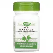 Nature's Way Ivy Extract 50 mg   