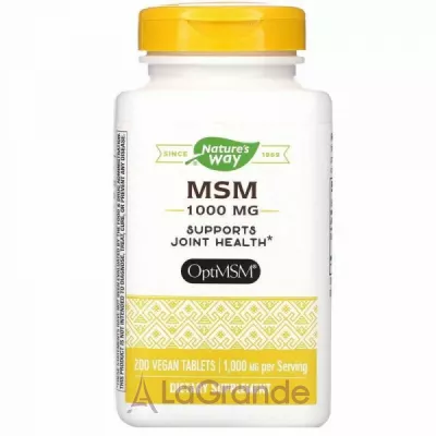 Nature's Way MSM 1000 mg      