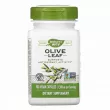 Nature's Way Olive Leaf 1500 mg      