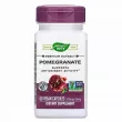 Nature's Way Pomegranate 350 mg   