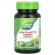 Nature's Way Saw Palmetto Berries 585 mg   