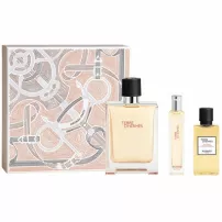 Hermes Terre D`Hermes ����� (��������� ���� 100 �� + ��������� ���� 15 �� + ���� ��� ���� 40 ��)