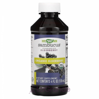 Nature's Way Sambucus Organik Elderberry      