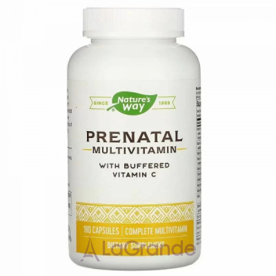 Nature's Way Prenatal Multi Vitamin & Mineral   