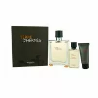 Hermes Terre D`Hermes ����� (��������� ���� 100 �� + ������� ����� ������ 40 �� + ���� ��� ���� 40 ��)