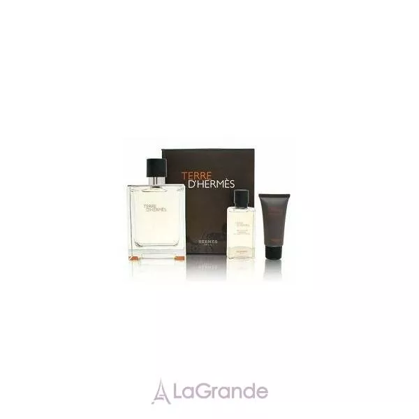 Hermes Terre D`Hermes ����� (��������� ���� 100 �� + ������ ����� ������ 15 �� + ���� ��� ���� 40 ��)