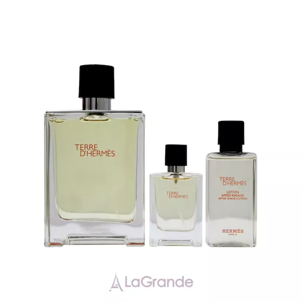 Hermes Terre D`Hermes ���� (�������� ���� 100 �� + ������� ���� ������ 40 �� + �������� 12.5 ��)