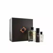 Hermes Terre D`Hermes ����� (��������� ���� 100 �� + ���� ��� ������ 50 �� + ������� ����� ������ 40 ��)