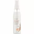 Daeng Gi Meo Ri Rice Water Hair Mist 100ml