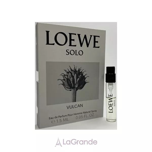 Loewe Solo Vulcan ����������� ���� (�������)