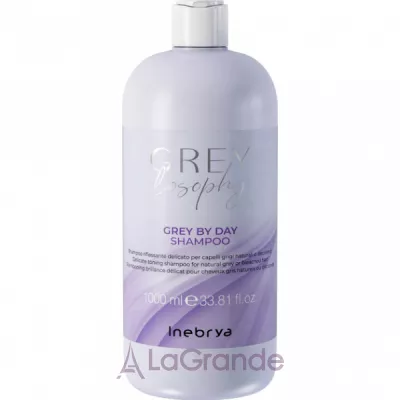 Inebrya Grey By Day Shampoo    ,    