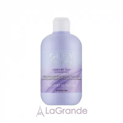 Inebrya Grey By Day Shampoo    ,    