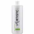 Elea Professional Artisto Deep Cleansing Shampoo 300ml