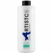 Elea Professional Artisto Balancing Shampoo    