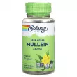 Solaray Mullein 330 mg   