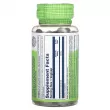 Solaray Mullein 330 mg   