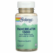 Solaray Pancreatin 1300 90pcs