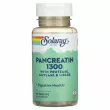 Solaray Pancreatin 1300   