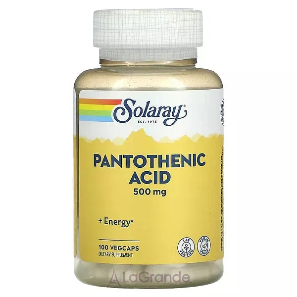 Solaray Pantothenic Acid 500 mg ĳ������ ������� 
