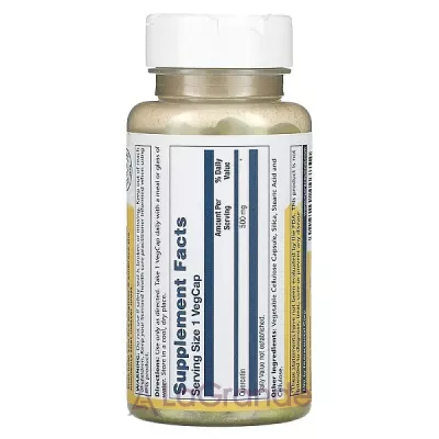 Solaray Quercetin 500 mg   