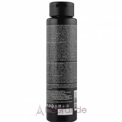 Elea Profesional Artisto Silver Shampoo    