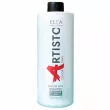 Elea Professional Artisto Color Save Shampoo      