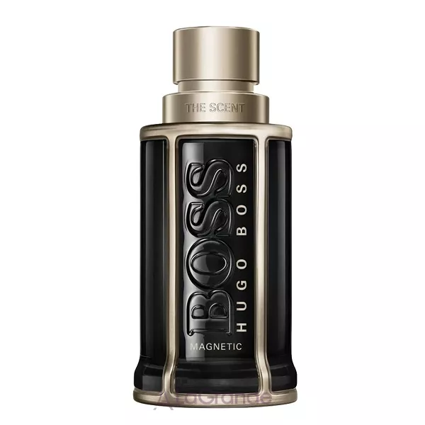 Hugo Boss  The Scent For Him Magnetic ����������� ����