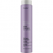 Erayba ABH Silver No-Yellow Shampoo 250ml