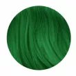 Elea Professional Artisto Funky Colors Toning Hair Gel     GREEN