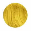 Elea Professional Artisto Funky Colors Toning Hair Gel     YELLOW