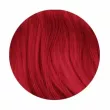 Elea Professional Artisto Funky Colors Toning Hair Gel      RED