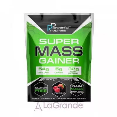 Powerful Progress Super Mass Gainer Forest Fruit  