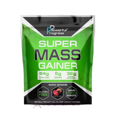 Powerful Progress Super Mass Gainer Forest Fruit  