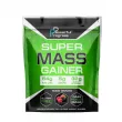 Powerful Progress Super Mass Gainer Forest Fruit  