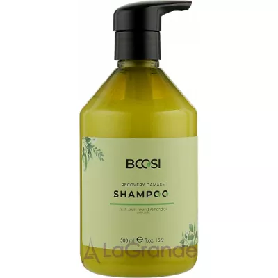 Kleral System Bcosi Recovery Danage Shampoo    