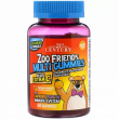 21st Century Zoo Friends Multi Gummies Plus Extra C 60pcs