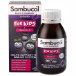 Sambucol Black Elderberry Liquid For Kids ĳ    