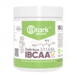 Stark Pharm Stark IBCAA 2-1-1 & B6 Delicious Orange �������� ����������� � ��������� �-6, �� ������ ���������
