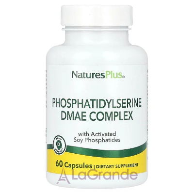 NaturesPlus Phosphatidylserine DMAE Complex  