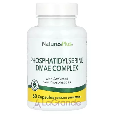 NaturesPlus Phosphatidylserine DMAE Complex  