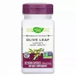 Nature's Way Olive Leaf Premium Extract 250 mg   