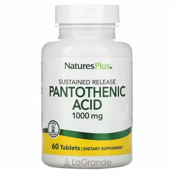 NaturesPlus Pantothenic Acid ĳ������ ������� 