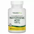 NaturesPlus Pantothenic Acid   