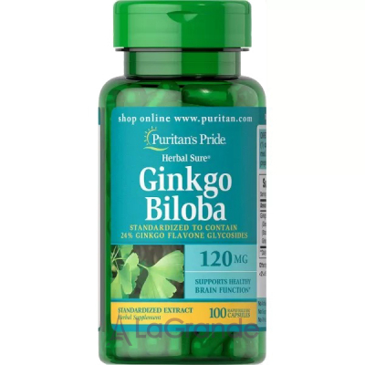 Puritan's Pride Ginkgo Biloba 120 mg ĳ  